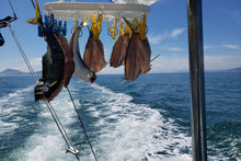 画像をギャラリービューアに読み込む, 船上 魚の日干し