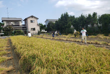 画像をギャラリービューアに読み込む, 農家宿 八 稲刈り体験