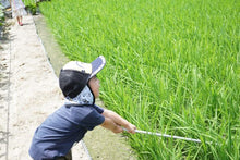 画像をギャラリービューアに読み込む, 農家民宿 八~country house~ 小学生・幼児(寝具あり)