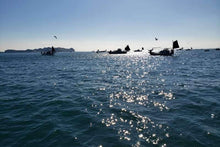 画像をギャラリービューアに読み込む, 松山沖　多数の釣り船

